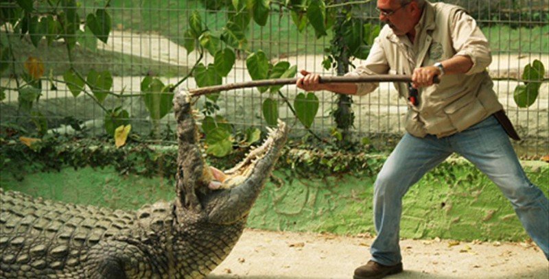 Crocodile Park, Torremolinos